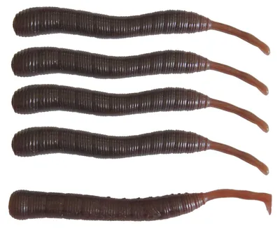 Produktbild von Dieter Eisele Wattwurm Doppelgänger 8cm - 5 künstliche Wattwürmer