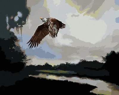Produktbild von Zuty - Malen nach Zahlen - ADLER IN DER DÄMMERUNG (D. RUSTY RUST), 40x50 cm, mit Keilrahmen (bereits gespannt)