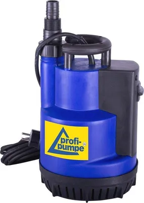 Produktbild von Doppelpumpe mit Überlaufschalter und Hochdurchfluss für Regenwasserspeicherung