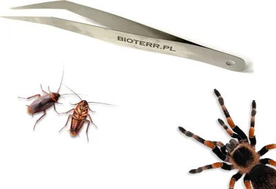 Immagine prodotto di BioTweezer Pinzetta curva morbida angolata 12 cm