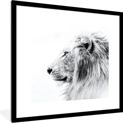 Produktbild von MuchoWow® MuchoWow® Gerahmtes Poster Löwe - Schwarz - Weiß - Tiere 40x40 cm - Poster mit zchwarzem Bilderrahmen - Poster - Plakat im Rahmen