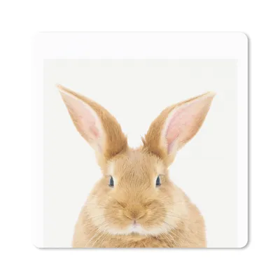 Produktbild von MuchoWow® Mauspad Mousepad Tiere - Kaninchen - Weiß 30x30 cm - Mousepads - Maus Mat - Pad - Mausunterlage - Gaming