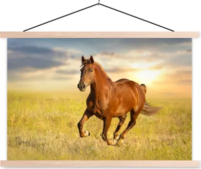 Produktbild von MuchoWow® Textilposter Pferd - Sonne - Gras - Tier 120x80 cm mit holzfarbenen Rahmen - Aufhängeset