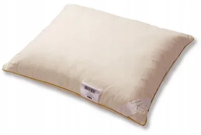 Produktbild von AMZ Mr. PILLOW Halbaun Kissen 5% 40x40 cm Natur