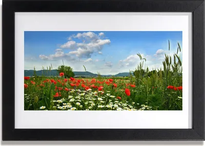 Produktbild von Bild 30x20 MDF-Rahmen Wandkunst Wiese Blumen Natur Pflanze