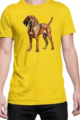 Immagine prodotto di Maglietta da uomo Dogs Breeds Bloodhound Dog Breed 006, Man L , Jaune