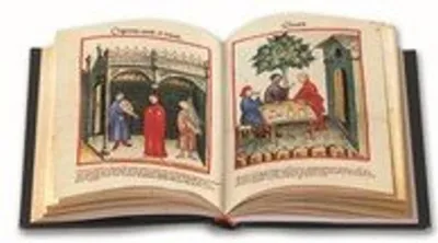 Image de Tacuinum Sanitatis in Medicina