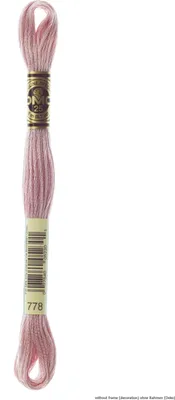 Produktbild von DMC Stickgarn Mouline Special 117MC -778, 6-fädig, 8m