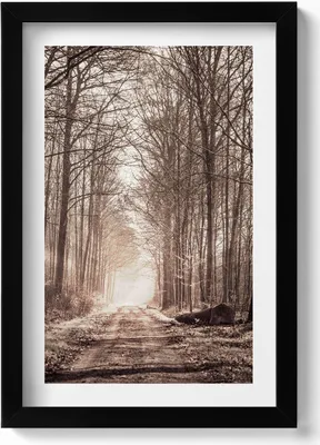 Produktbild von Waldweg in Sepia-Farben– Wandbild mit Rahmen – Gerahmtes Bild  – Wanddekoration – 20x30 cm – Schwarz