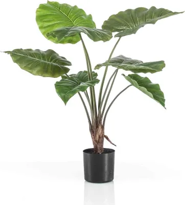 Produktbild von artplants.de Kunst Alocasia Calidora FAYOR, grün, 70cm - Künstliche Pflanze