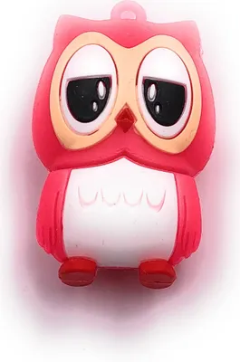 Produktbild von Onwomania Niedliche Eule in Pink Vogel Funny USB Stick 64 GB USB 2.0