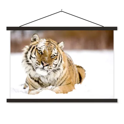 Produktbild von MuchoWow® Textilposter Tiger - Schnee - Weiß 120x80 cm mit schwarzem Rahmen - Wanddeko