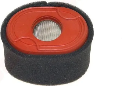 Image de Filtre à air Pour Briggs & Stratton ( 796970 )