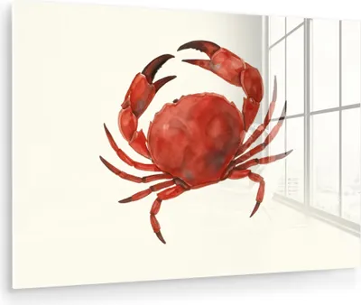 Produktbild von MuchoWow Glasbilder - Bilder auf Wandbild - Foto auf Glas Krabbe - leuchtend rot - Beine 30x20 cm Wanddekoration aus Glas - Acrylglasbild - Acrylbilder - Bilder auf glas wandbild