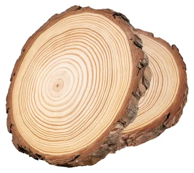 Imagen del producto de Rebanadas de madera natural de 18-20 cm, 2 discos de madera sin tratar con corteza de árbol
