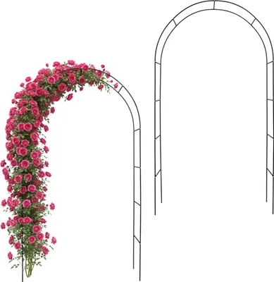 Immagine prodotto di Relaxdays Arco di rose in metallo, set da 2, arco da giardino, A x L x P: 240 x 140 x 38 cm, arco per piante rampicanti, nero