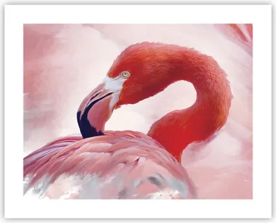 Produktbild von Poster - Poster ohne Rahmen - Flamingo Vogel Porträt - 50x40 cm - Wand Bild - Wanddeko - Wandbilder - Kunstposter - Wandposter - Bilder - Kunstdruck - Wanddekoration - Wandbild - P2XAA50x40-4984