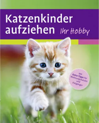 Image de Katzenkinder aufziehen