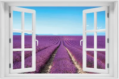 Produktbild von Wallario Wandbild mit Fenster-Illusion: Lavendelfeld unter blauem Himmel, Größe: 61 x 91,5 cm, Poster mit weißem Aluminiumrahmen