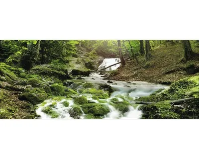 Produktbild von Glasbild Mystic Ways 125x50 cm