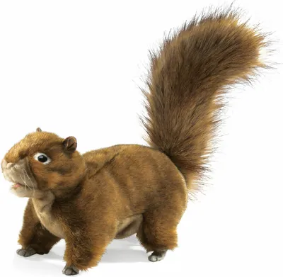 Produktbild von Folkmanis Eichhhörnchen Handpuppe 30 cm