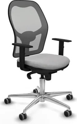 Image de Chaise de bureau Piqueras y Crespo 1D086G0 Gris clair