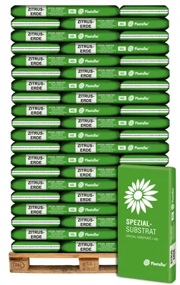 Produktbild von Plantaflor Spezial Substrat, Zitruserde, 60 x 40L, Mediterranpflanzenerde, Oleandererde, Kübelpflanzenerde, Gartenerde, Erde