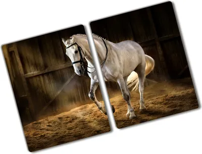 Produktbild von Tulup Glas Herdabdeckplatte - 2x40x52 cm - Glaskeramikkochfeld-Abdeckung Spritzschutz Glasabdeckplatte Kochplattenabdeckung und Schneidebrett - Zweiteilig - Tiere - Schimmel im Stall - Weiß