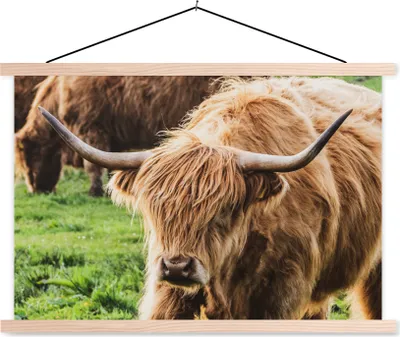 Produktbild von MuchoWow® Textilposter Schottische Hochlandrind - Tiere - Gras 120x80 cm mit holzfarbenen Rahmen - Aufhängeset