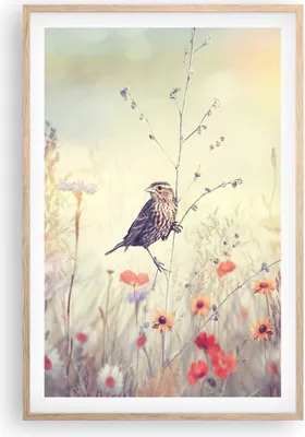 Produktbild von Gerahmtes Poster - Rahmen in heller Eiche - Vogel Wildschwein Wiese - 61x91,5 cm - Wand Bild - Wanddeko - Wandbilder - Wandposter - Bilderrahmen - Bilder - Kunstdruck - Wandbild - P2NPA61x91-4279