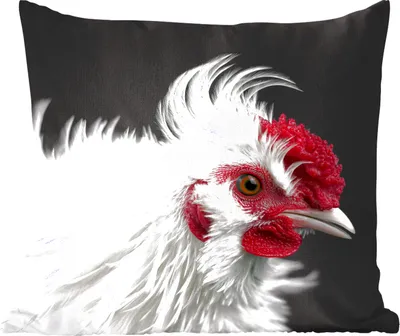 Produktbild von MuchoWow® Zierkissen Sofakissen Wohnzimmer Dekokissen 50x50 cm Huhn - Vogel - Schwarz - Komfort - Sofakissen