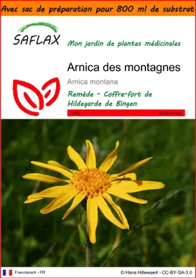 Image de SAFLAX Garden in the bag - Arnica des montagnes - 40 graines - Arnica