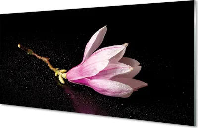 Produktbild von Glasbilder 100x50 Wandkunst Blumenwasser