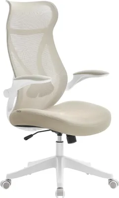 A studio shot of an ergonomic office chair.