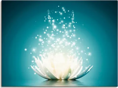 Produktbild von ARTland Leinwandbild Magie der Lotus-Blume - türkis Größe: 40x30 cm
