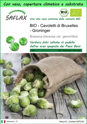 Immagine prodotto di SAFLAX Garden to go -- Cavoletti di Bruxelles - Groninger - 30 semi - Brassica