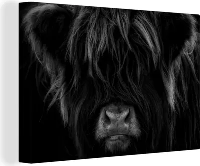 Produktbild von OneMillionCanvasses® - Leinwandbilder - 140x90 cm, Schottisches Hochlandrind - Kuh - Porträt - Tiere - Schwarz - Weiß, Wandbilder Kunstdruck Wanddekoration - Foto auf Leinwand -