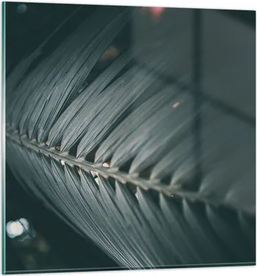Produktbild von Bilder auf glas - Einteilig - Blatt Palme exotisch - 70x70cm - Glasbilder - Wandbilder - Bilder - zum Aufhängen bereit - Wanddekoration aus Glas - Glas Bilder - Wandbild auf Glas - GAC70x70-4907