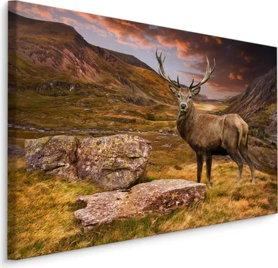 Zdjęcie produktu dla Obraz do salonu jeleń natura przyroda góry Ozdoba ścienna z efektem 3D 120x80cm