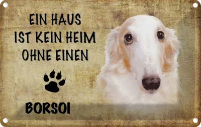 Produktbild von vianmo Blechschild 20x30 cm Borsoi Hund ohne kein Heim Tier Haustier