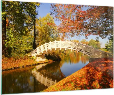 Produktbild von Bilder auf glas - Stream Fußgängerbrücke Herbst - 100x70cm - Glasbilder - Wandbilder - Kunstdruck - zum Aufhängen bereit - Wanddekoration aus Glas - Glas Bilder - Wandbild auf Glas - GAA100x70-2654
