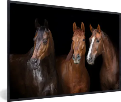 Produktbild von MuchoWow® MuchoWow® Gerahmtes Poster Pferde - Tiere - Schwarz - Porträt 90x60 cm - Poster mit zchwarzem Bilderrahmen - Fotorahmen - Foto-Plakat