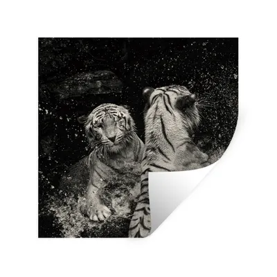 Produktbild von MuchoWow® Wandtattoo Wandsticker Wandaufkleber Tiger - Wasser - Wild 30x30 cm Selbstklebend und Repositionierbar - Repositionierbar - Wasser abweisend