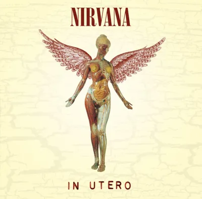 Album cover art for Nirvana's "In Utero" featuring an anatomical drawing of a winged figure.