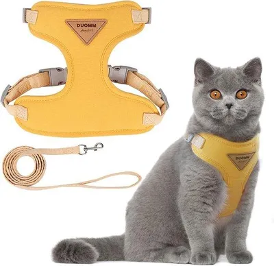 Immagine prodotto di Pettorina per gatti, pettorina regolabile con guinzaglio, pettorina per gatti, pettorina antisfuggita con guinzaglio, pettorina riflettente, traspirante, facile da indossare, pettorina da esterno anti-strangolamento, giallo, taglia S
