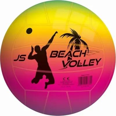 Image de Ballon de beach-volley Neon 8,5 pouces, assortis