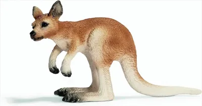 Image de SCHLEICH 14608 Jungles de kangourous