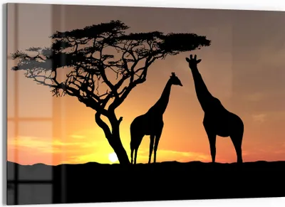 Produktbild von DEQORI Glasbild Echtglas 90x60 cm 'Afrikanische Eleganz' Wandbild Bild modern Deko