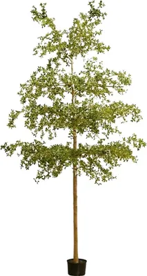 Produktbild von Emerald Künstlicher schwarzer Olivenbaum - Finja | 390 cm, für drinnen, Kunstbaum, wie echt, Allergiker geeignet, pflanzliche Dekoration Praxis, Office & Wohnzimmer