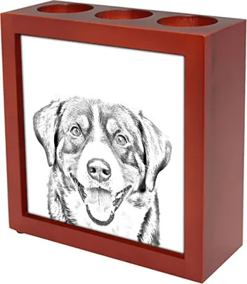 Immagine prodotto di Art-Dog Portapenna – Bovaro dell’Entlebuch